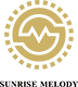 Shenzhen  Shengyang  Suab nkauj  Instruments  Technology  Co.,  Ltd.