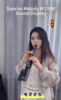SUNRISE MELODY M1 Electronic Wind Instrument Sound Display, Electronic Music ...